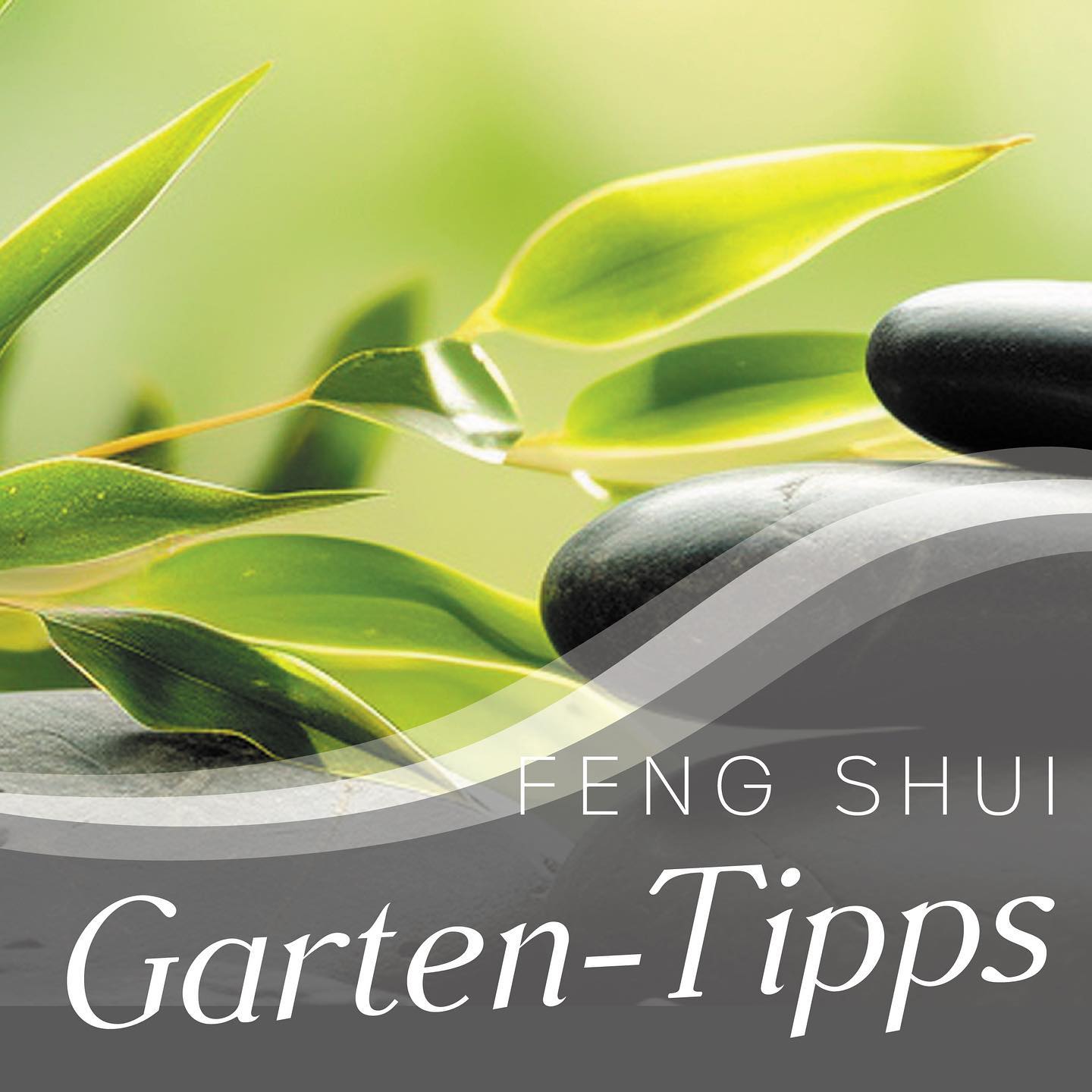 🌼🌱🌷 Garten Feng Shui 👒🪴☀️ Willkommen in der faszinierenden Welt des Garten-Feng-Shui! Wir verraten, wie du deinen Außenbereich in eine Oase der Harmonie und positiven Energie verwandelst.

1️⃣ Die richtige Lage wählen
Beginne mit der Auswahl eines optimalen Standorts für deine Pflanzen. Pflanze zum Beispiel Kräuter wie Lavendel im Süden deines Gartens, um die Energie zu stärken und positive Schwingungen zu fördern. 🌱🌞

2️⃣ Wasser-Elemente einbinden
Integriere Wasserquellen wie Brunnen oder Teiche, um die Energie zu beruhigen und das Gleichgewicht zu fördern. Ein kleiner Teich im Osten kann die Lebenskraft und Vitalität erhöhen. 💧🌊

3️⃣ Stein-Elemente nutzen
Nutze Steine und Felsen, um Struktur und Stabilität zu schaffen. Platziere große Steine im Westen, um Schutz und Sicherheit zu symbolisieren. 🪨🏞️

4️⃣ Pflanzenauswahl und Anordnung
Wähle Pflanzen mit abgerundeten Blättern für eine weichere Energie und solche mit spitzen Blättern für mehr Aktivität. Gruppiere Pflanzen mit ähnlichen Bedürfnissen zusammen, um ein harmonisches Gleichgewicht zu schaffen. Achte darauf, dass nur gesunde Pflanzen gutes Chi aktivieren, denn kränkelnde Pflanzen wirken sich nach Feng Shui negativ aus. 🌸🌿

5️⃣ Vermeide Insektizide und Pestizide
Statt chemischer Insektizide setze auf natürliche Methoden, um das ökologische Gleichgewicht im Garten zu erhalten. Wähle z.B. schneckenresistente Pflanzen und Kräuter. Im Feng Shui geht es um positive, lebensbejahende Energie und gute Eindrücke im eigenen Geist. 🐌 🐞🌼

6️⃣ Pflege mit Achtsamkeit
Pflege deinen Garten regelmäßig und achte auf das Gleichgewicht zwischen Licht und Schatten. Entferne abgestorbene Pflanzen, um Platz für neues Wachstum und positive Energie zu schaffen. 🌻🌞

🌸🍃🌺🌿🌼🌱🌷 Lass dich von der Schönheit und Kraft des Garten-Feng-Shui inspirieren und erschaffe einen Ort der Ruhe und Ausgeglichenheit in deinem eigenen Garten! 

#GartenFengShui #gartenideen #garteninspiration #FengShui #Gartengestaltung #Gartenliebe #Gartenglück #Gartenfreude